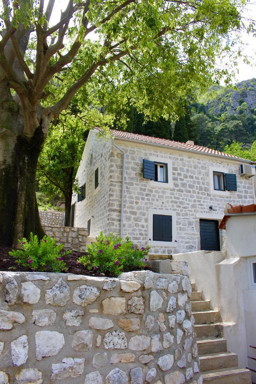 Villa Mima Kotor Exterior photo