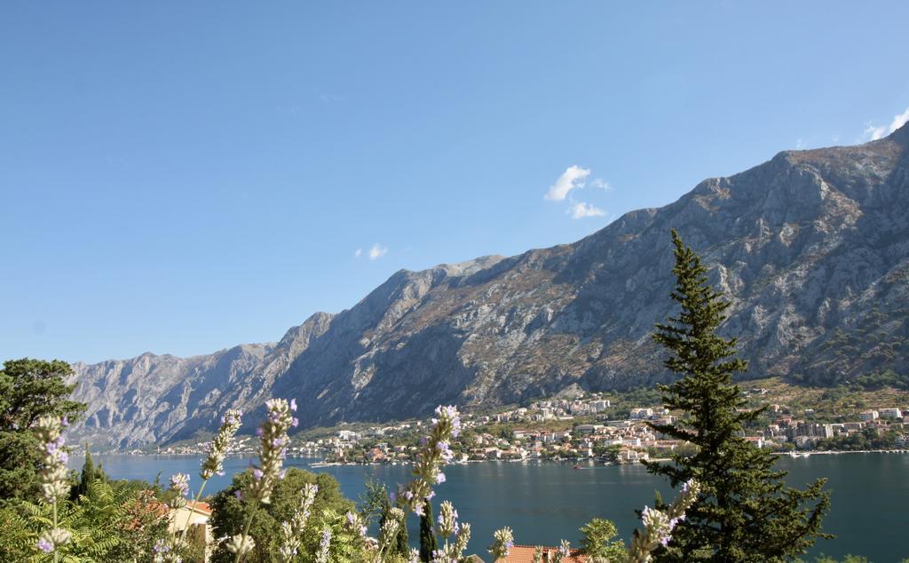Villa Mima Kotor Exterior photo